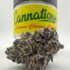 Lemon Cherry Gelato “Original” by Cannatique Farm
