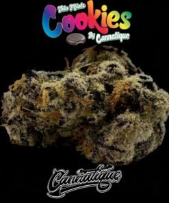 Thin Mintz Cookies by Cannatique Farm