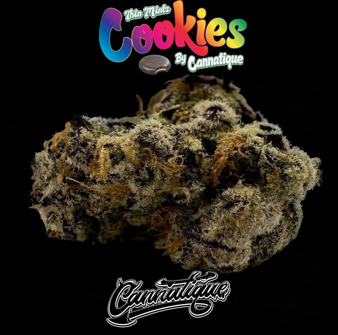 Thin Mintz Cookies by Cannatique Farm Thin Mintz Cookies by Cannatique Farm