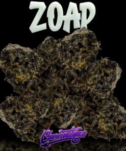 Zoap by Cannatique Farm