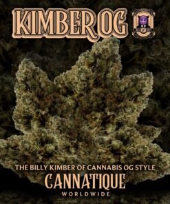 Billy Kimber OG by cannatique farm