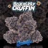 Blueberry Cruffin by Cannatique Farm