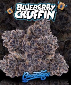 Blueberry Cruffin by Cannatique Farm