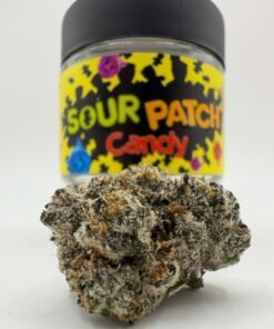 Sour Patch Candy by Cannatique Farm
