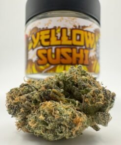 Yellow Sushi by Cannatique Farm