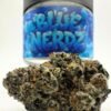 Blue Nerbz by Cannatique Farm